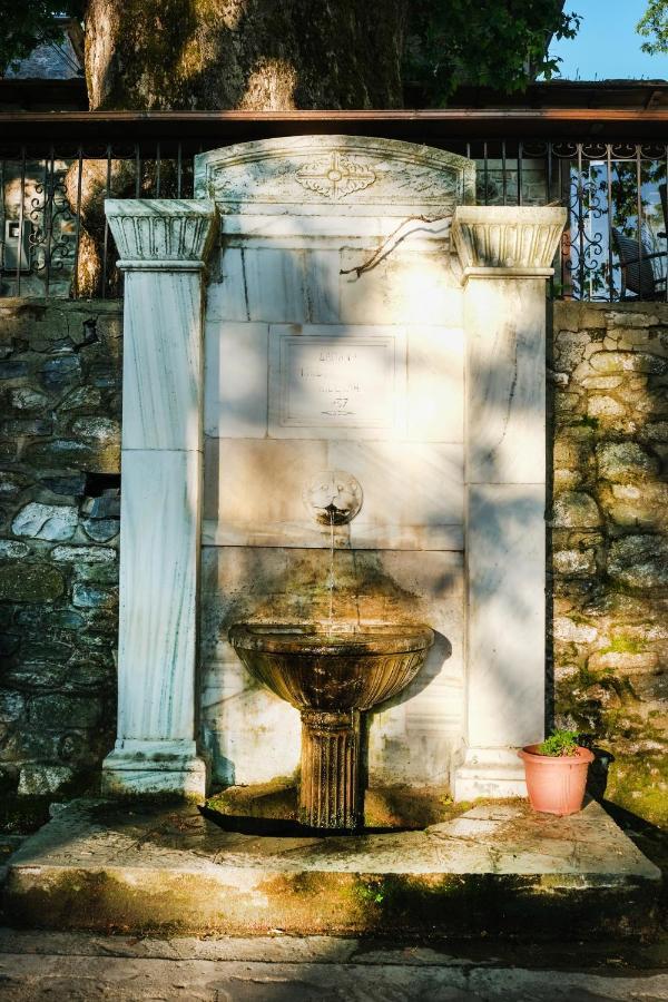 A Dream Deferred Villa Pelion Kissos  Exterior foto